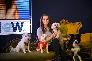 Purrs, Paws & Pure Joy: Cat & Dog Lovers Festivals Return To Sydney This August