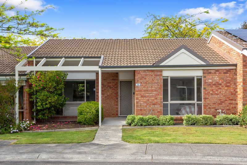 Freshly Updated, Leafy Views