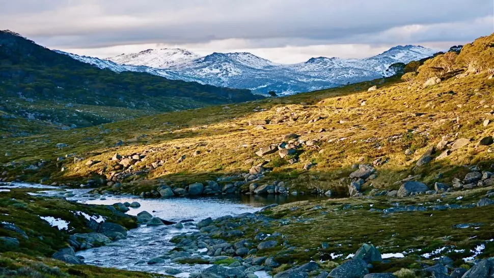 Snowy Mountains