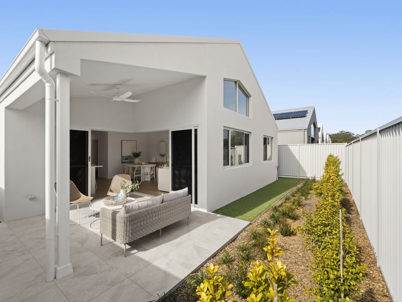 The Tea Tree Design