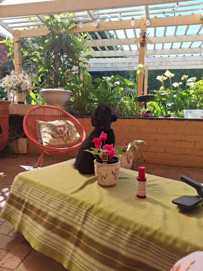 Peaceful Sanctuary 