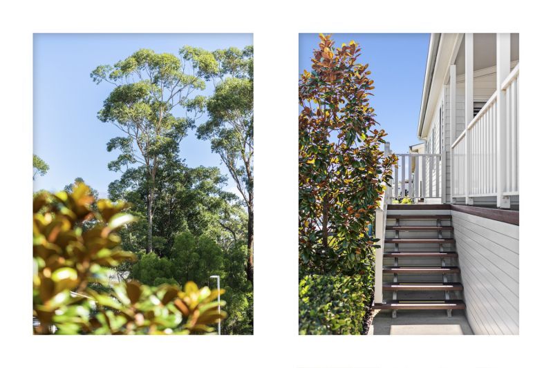 Elevated Sunset Views