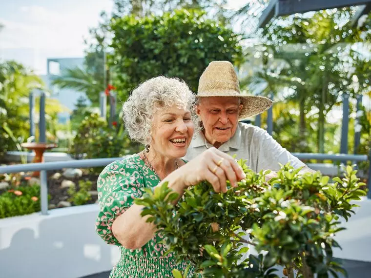 Goodhew Gardens + Bay Breeze