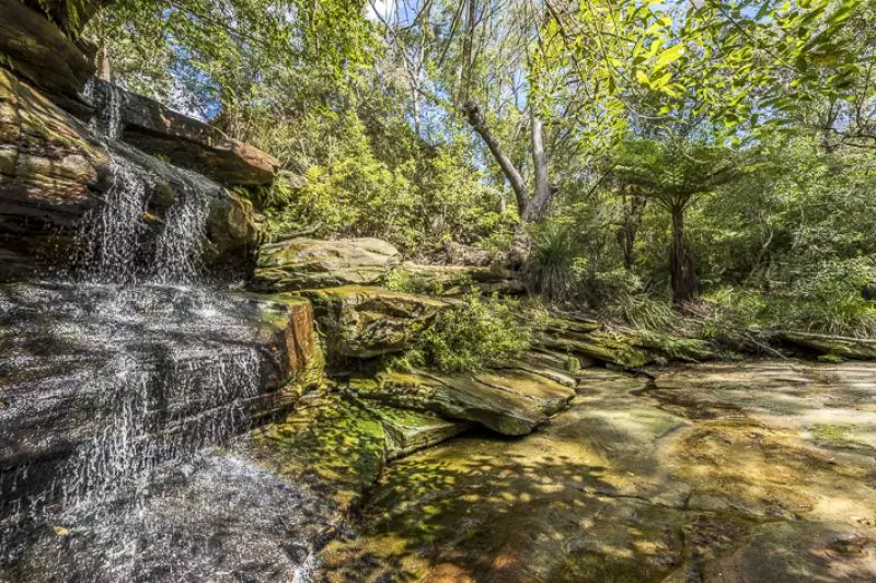 Studio Serviced Apartment at Willandra Village with beautiful bushland outlook