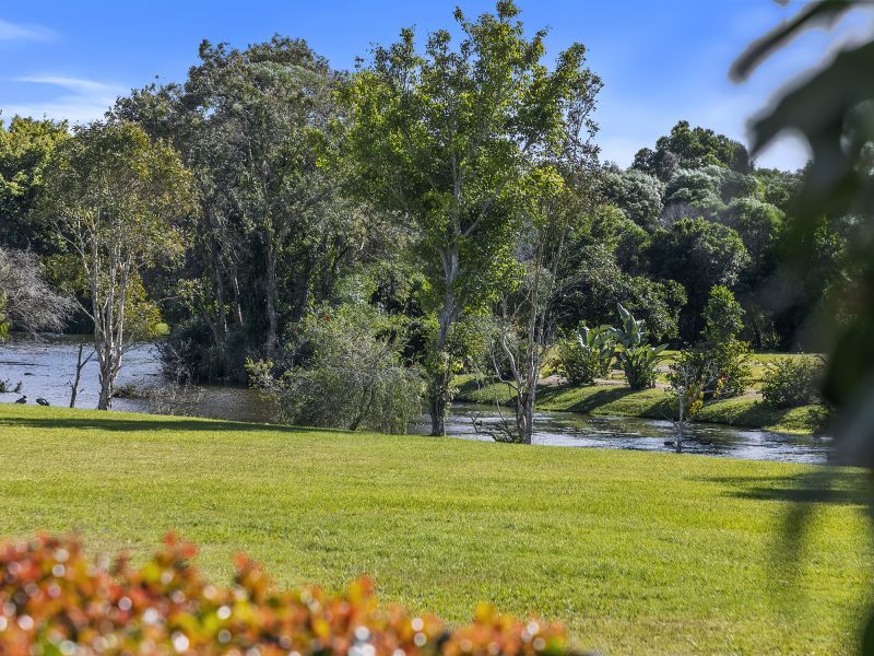 Site 127 - Established Sumarez
