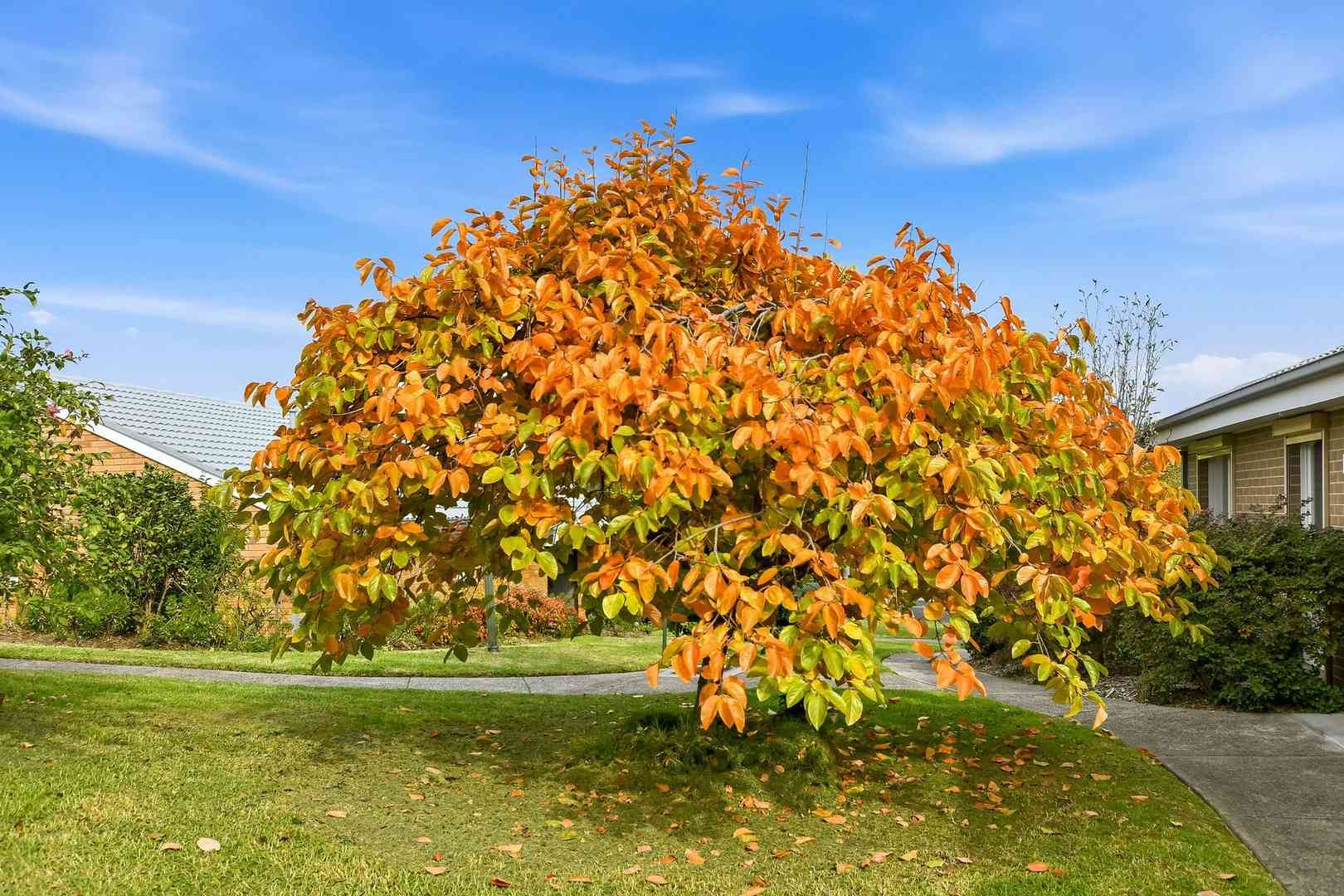 Cosy, Low-Maintenance, Great Value