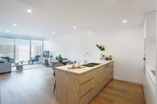 Apartment 211 at The Healey