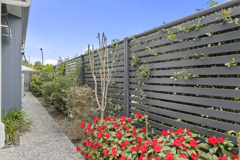 Site 128 - Established Lillydale