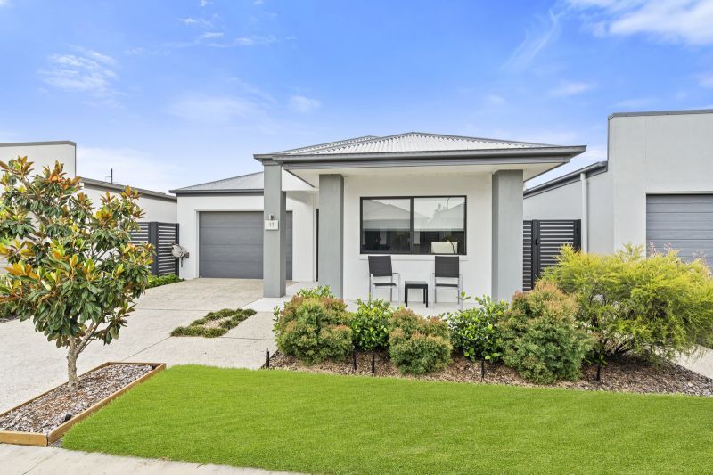 Site 11 - Established Rosevale