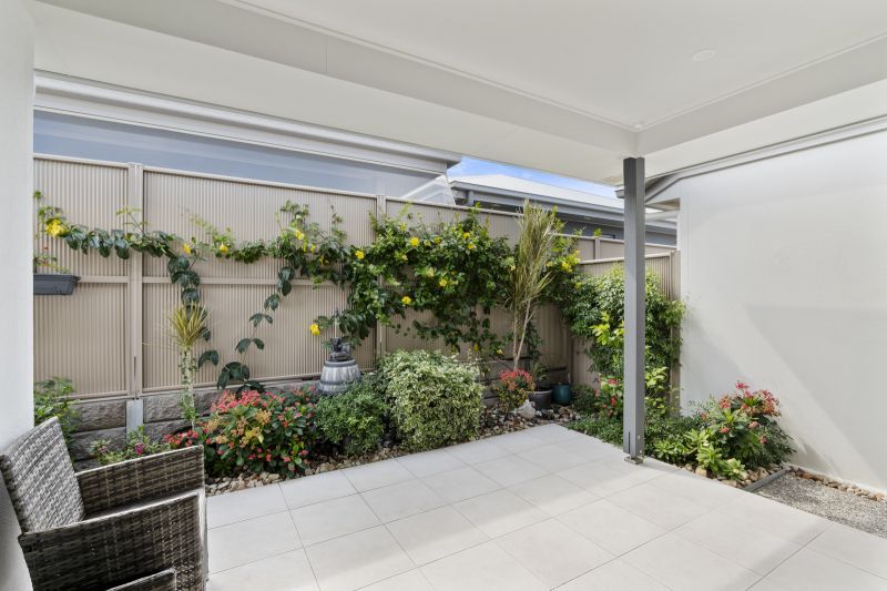 Site 191 - Established Beechmont