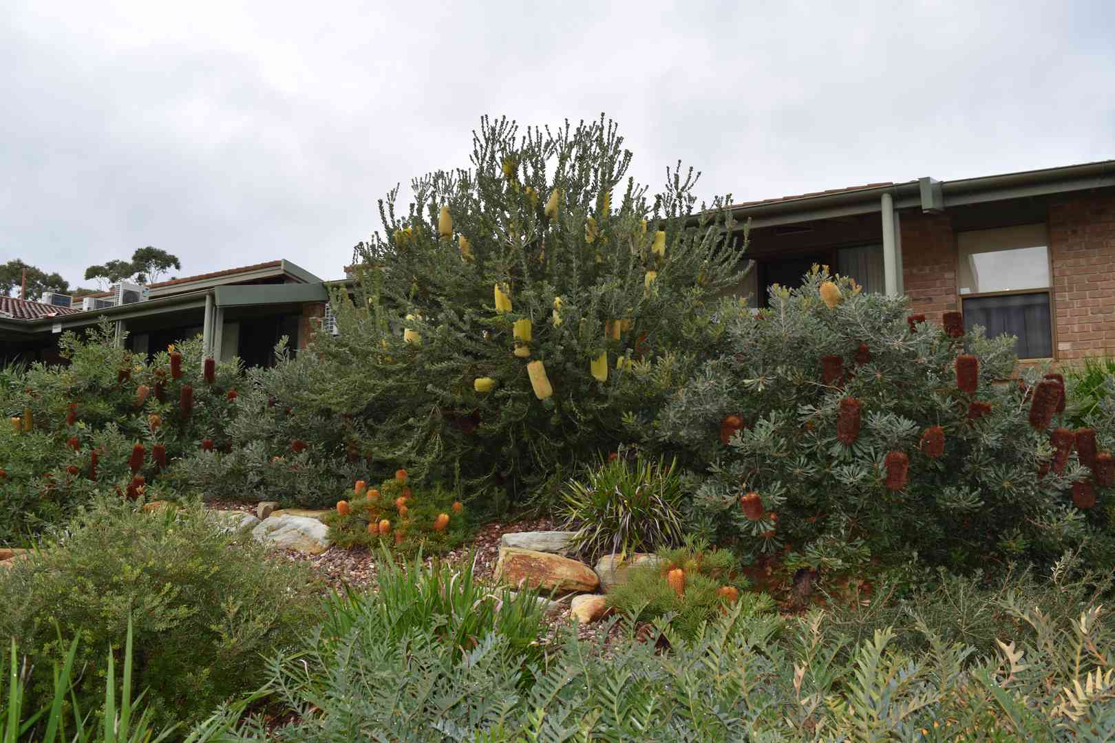 Two bedroom unit now available
