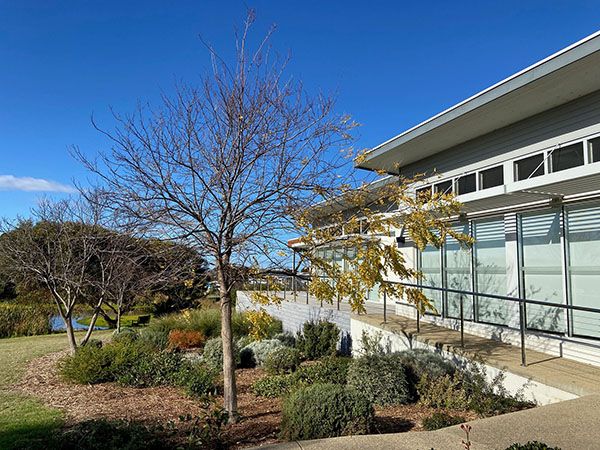 Eco-friendly Retirement Living for the over 60s at Resthaven Chiton. New construction underway of 11 units consisting of 2 bedrooms plus study