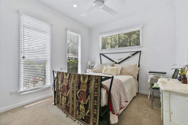 Stunning Rainforest Backdrop