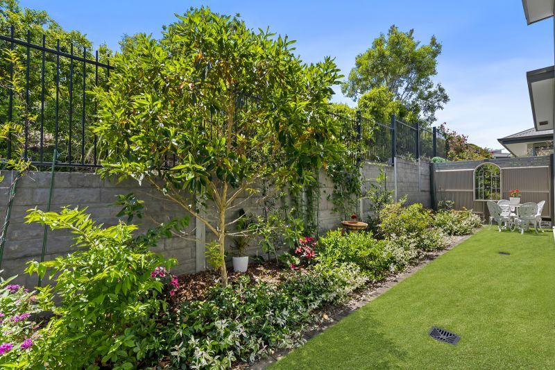 Site 230 - Established Peregrine