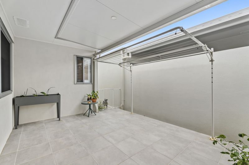 Site 67 - Established Kestral