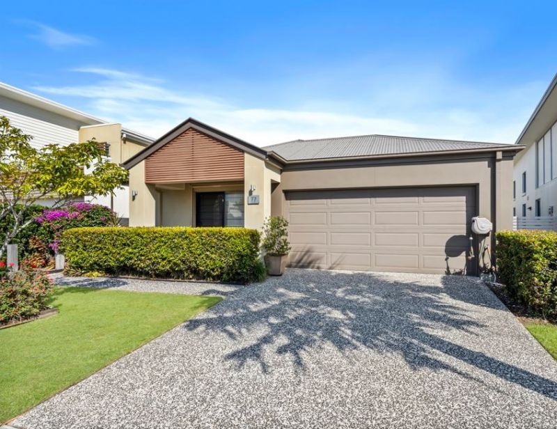 Site 77 - Established Flinders