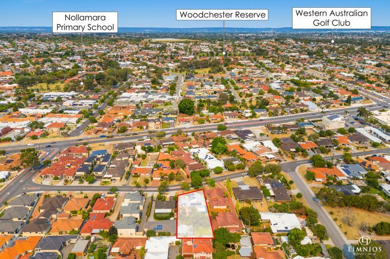 Explore your options!