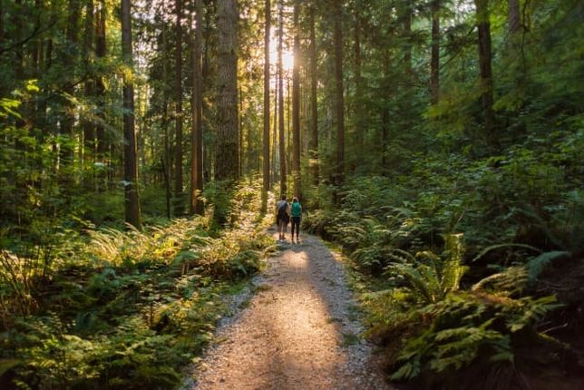 'Nature prescriptions' improve physical and mental health: study