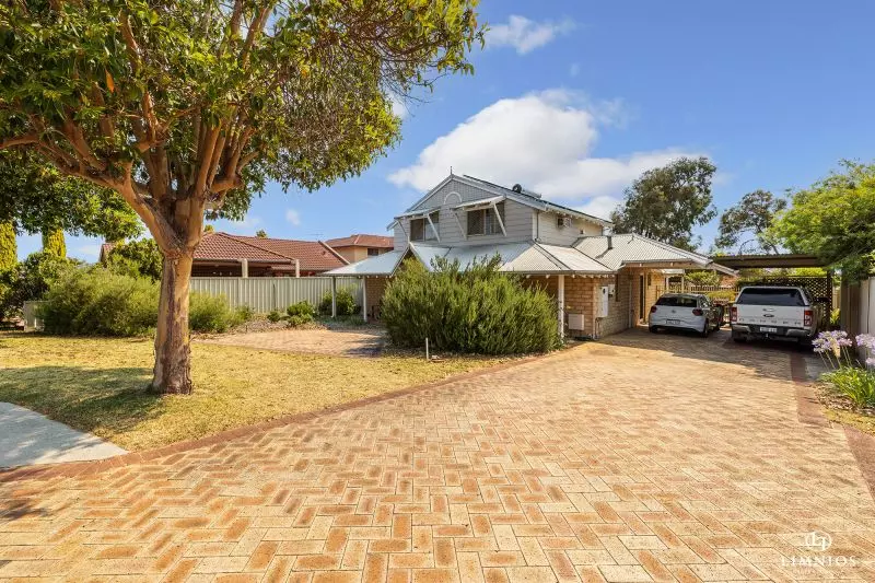 Explore your options!