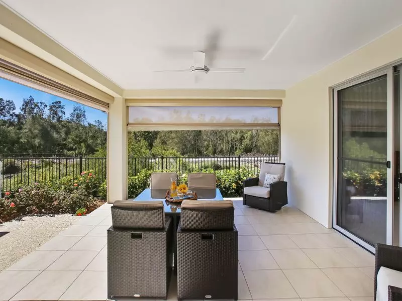 Waterfront Bird Watching