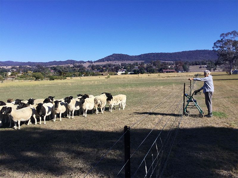 RFBI Moonbi Masonic Village