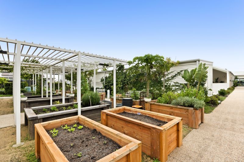 Site 231 - Established Avoca