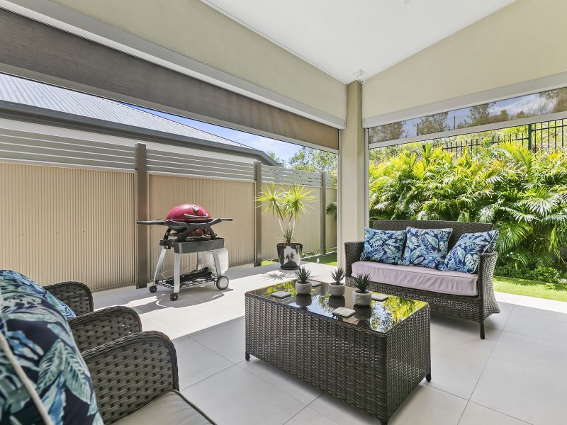 Site 230 - Established Peregrine