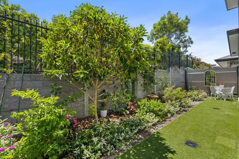 Site 230 - Established Peregrine