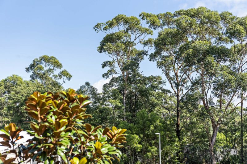 Elevated Sunset Views