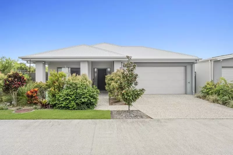 Site 67 - Established Kestral