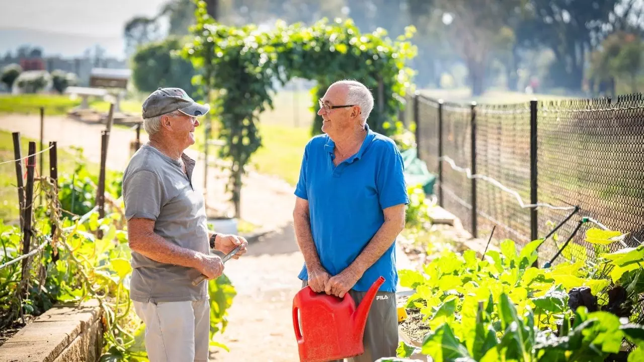 Wodonga Gardens - Wattle Design