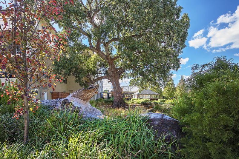 Relax in your modern, low maintenance home