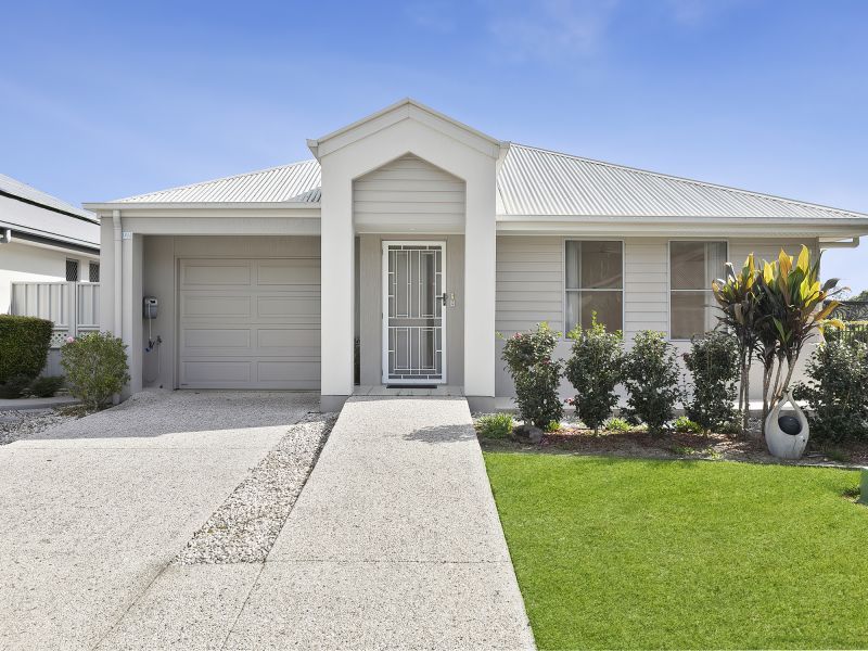 Site 127 - Established Sumarez