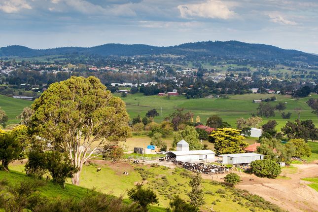 Farmland outside of Bega on NSW's south coast