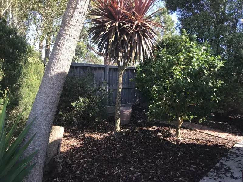 Peninsula Parklands - Site 126