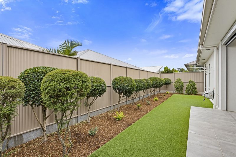 Site 54 - Established Marengo (modified)