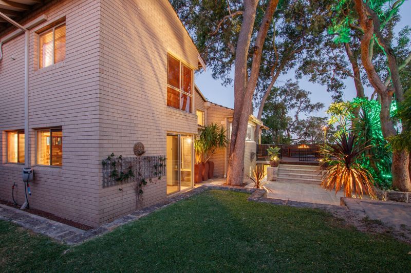 Tree Change In The City