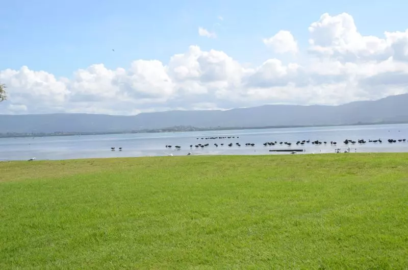 Jettys by the Lake - Site 317