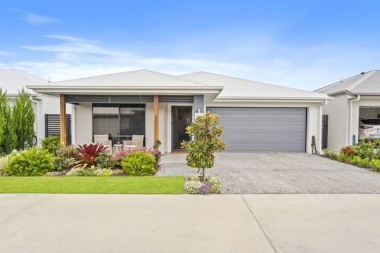 Site 269 - Established Beechmont