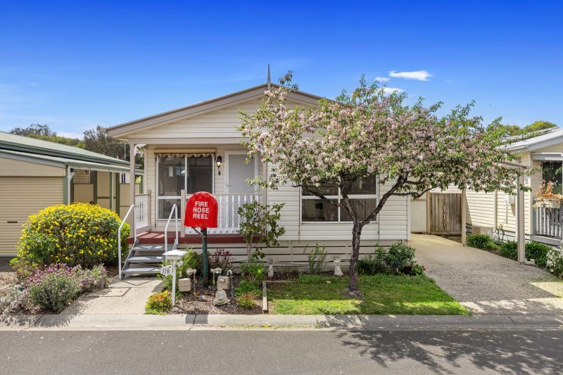 Seize the Opportunity!