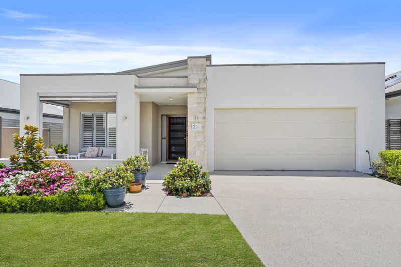 Site 230 - Established Peregrine