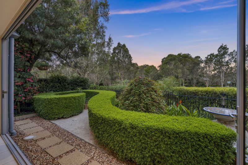 Site 166 - Established Saumarez