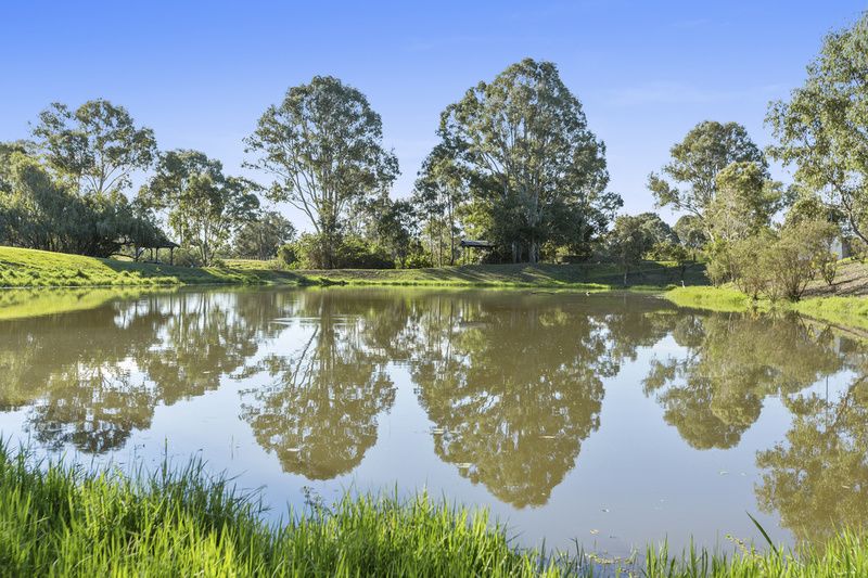 Mountains of value with Mountain Ash - retire in style