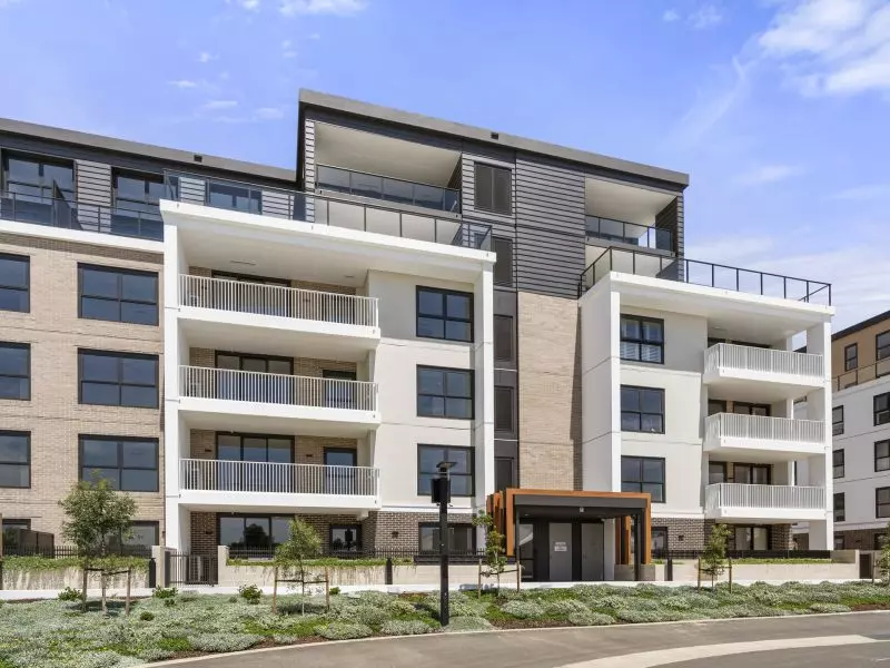 Luxury living immersed in calming bushland surrounds