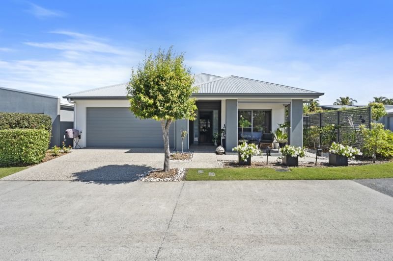 Site 153 - Established Kestral