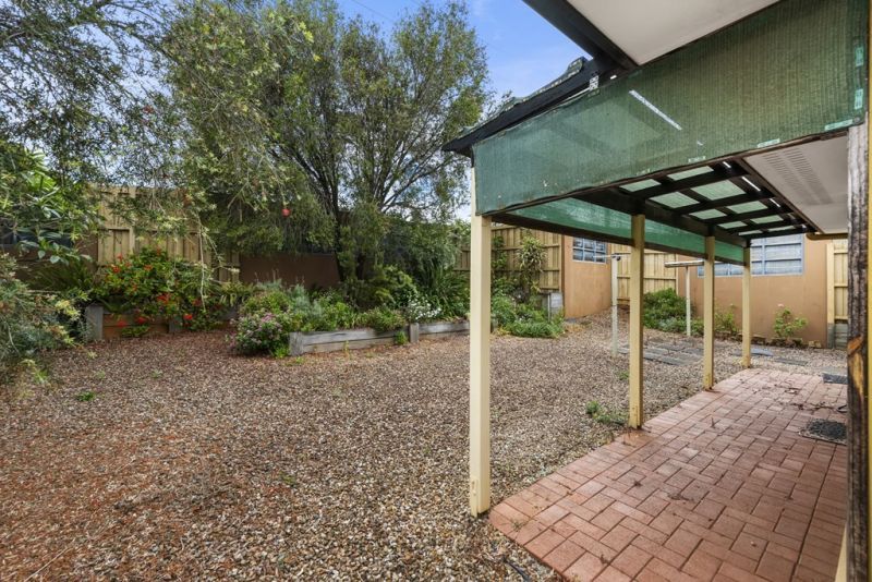 Space for the Green Thumb