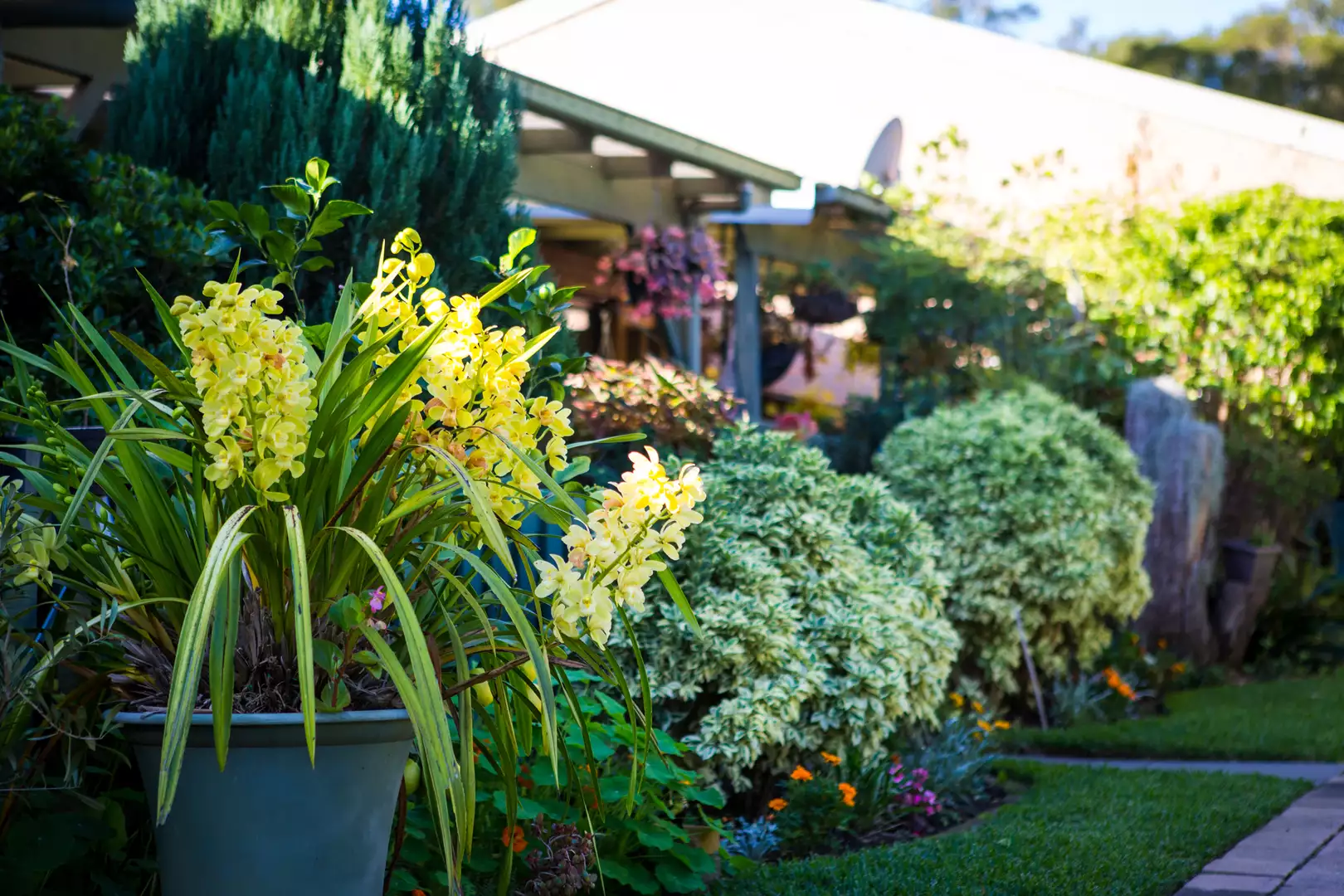 Windsor Country Village - More than just a home, it’s a community