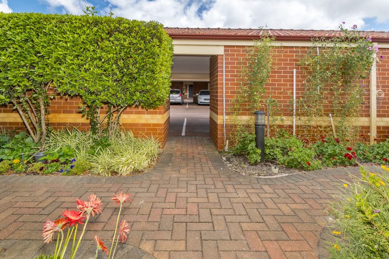 Stylish Haven with Fresh Updates and Garden Views