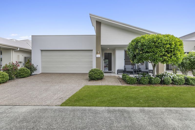 Site 100 - Established Atoll