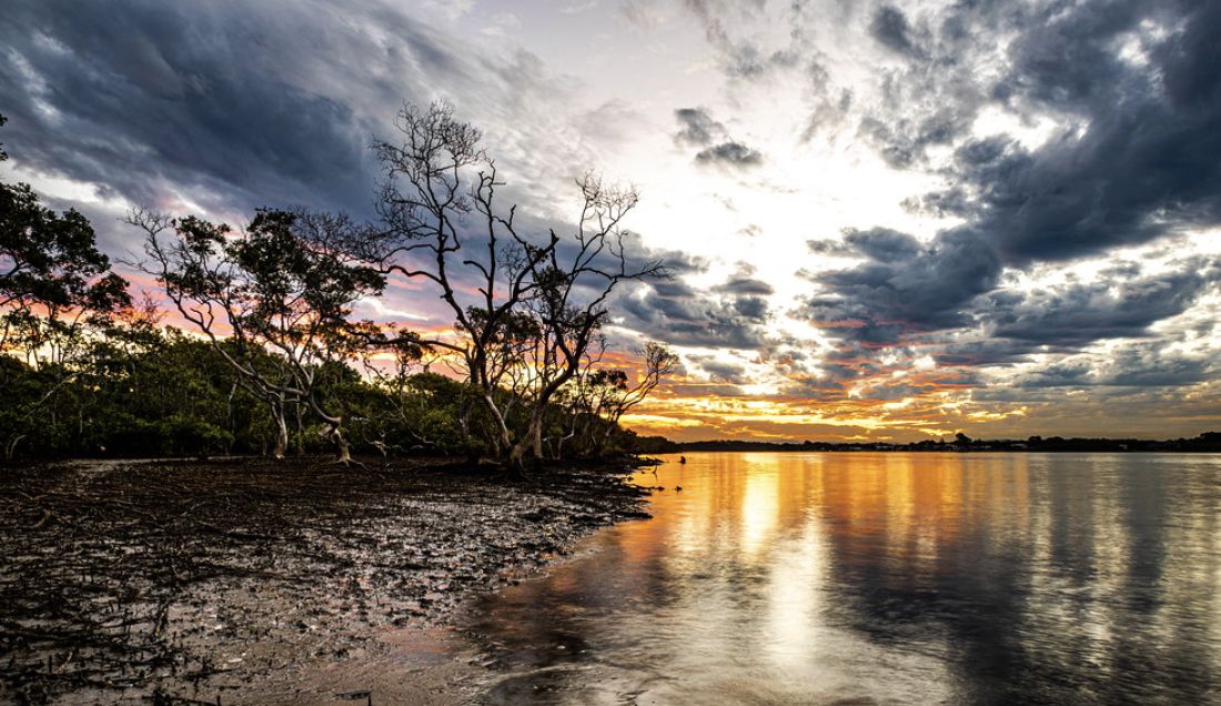 Moreton Bay South